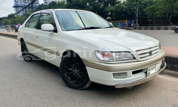 কেনা ব্যবহৃত Toyota Corona White গাড়ী মধ্যে ঢাকা মধ্যে Dhaka কেনা ব্যবহৃত Toyota Corona White গাড়ী মধ্যে ঢাকা মধ্যে Dhaka