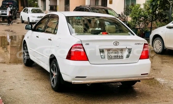 Buy Used Toyota Corolla in Bhanga, Faridpur Buy Used Toyota Corolla in Bhanga, Faridpur