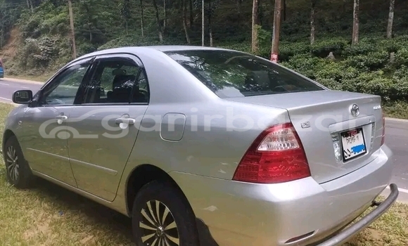 Buy Used Toyota Corolla in Chandpur, Chandpur Buy Used Toyota Corolla in Chandpur, Chandpur