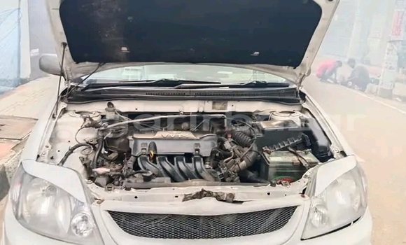 কেনা ব্যবহৃত Toyota Corolla White গাড়ী মধ্যে বগুড়া মধ্যে Bogora কেনা ব্যবহৃত Toyota Corolla White গাড়ী মধ্যে বগুড়া মধ্যে Bogora