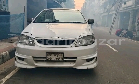 কেনা ব্যবহৃত Toyota Corolla White গাড়ী মধ্যে বগুড়া মধ্যে Bogora কেনা ব্যবহৃত Toyota Corolla White গাড়ী মধ্যে বগুড়া মধ্যে Bogora