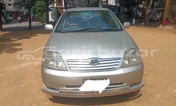 কেনা ব্যবহৃত Toyota Corolla Other গাড়ী মধ্যে বদরগঞ্জ মধ্যে Rangpur কেনা ব্যবহৃত Toyota Corolla Other গাড়ী মধ্যে বদরগঞ্জ মধ্যে Rangpur