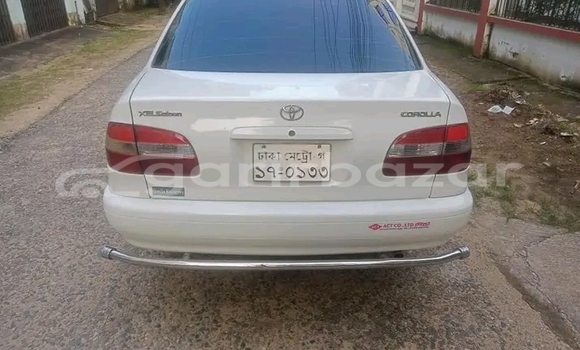 কেনা ব্যবহৃত Toyota Corolla White গাড়ী মধ্যে বগুড়া মধ্যে Rajshahi কেনা ব্যবহৃত Toyota Corolla White গাড়ী মধ্যে বগুড়া মধ্যে Rajshahi