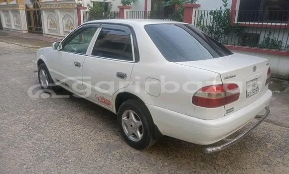কেনা ব্যবহৃত Toyota Corolla White গাড়ী মধ্যে বগুড়া মধ্যে Rajshahi কেনা ব্যবহৃত Toyota Corolla White গাড়ী মধ্যে বগুড়া মধ্যে Rajshahi