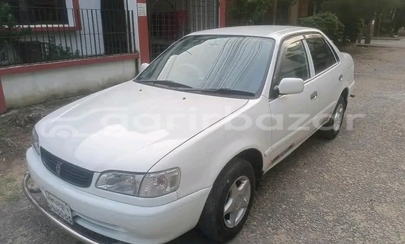 কেনা ব্যবহৃত Toyota Corolla White গাড়ী মধ্যে বগুড়া মধ্যে Rajshahi কেনা ব্যবহৃত Toyota Corolla White গাড়ী মধ্যে বগুড়া মধ্যে Rajshahi