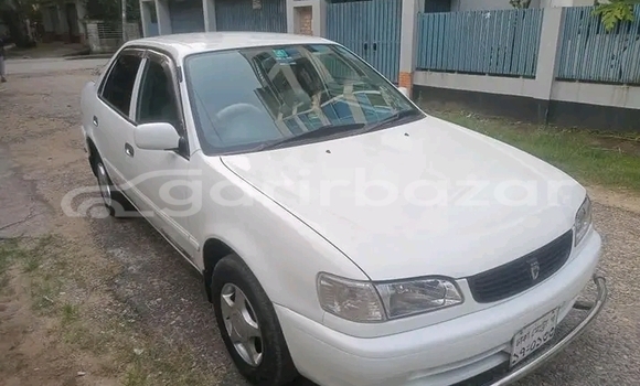 কেনা ব্যবহৃত Toyota Corolla White গাড়ী মধ্যে বগুড়া মধ্যে Rajshahi কেনা ব্যবহৃত Toyota Corolla White গাড়ী মধ্যে বগুড়া মধ্যে Rajshahi