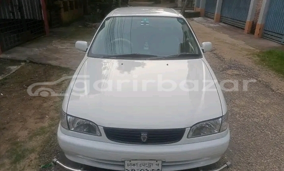 কেনা ব্যবহৃত Toyota Corolla White গাড়ী মধ্যে বগুড়া মধ্যে Rajshahi কেনা ব্যবহৃত Toyota Corolla White গাড়ী মধ্যে বগুড়া মধ্যে Rajshahi