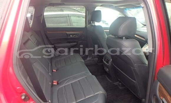 Buy Used 2019 Honda CR-V in Dhaka, Dhaka Buy Used 2019 Honda CR-V in Dhaka, Dhaka