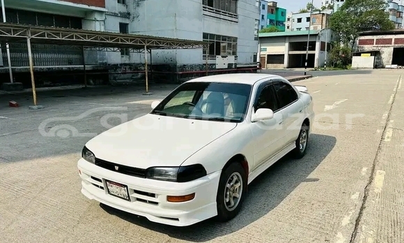 কেনা ব্যবহৃত Toyota Sprinter White গাড়ী মধ্যে বান্দরবান মধ্যে Bandarban কেনা ব্যবহৃত Toyota Sprinter White গাড়ী মধ্যে বান্দরবান মধ্যে Bandarban