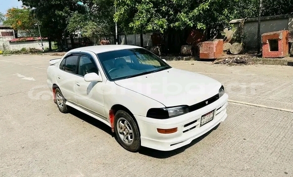 কেনা ব্যবহৃত Toyota Sprinter White গাড়ী মধ্যে বান্দরবান মধ্যে Bandarban কেনা ব্যবহৃত Toyota Sprinter White গাড়ী মধ্যে বান্দরবান মধ্যে Bandarban