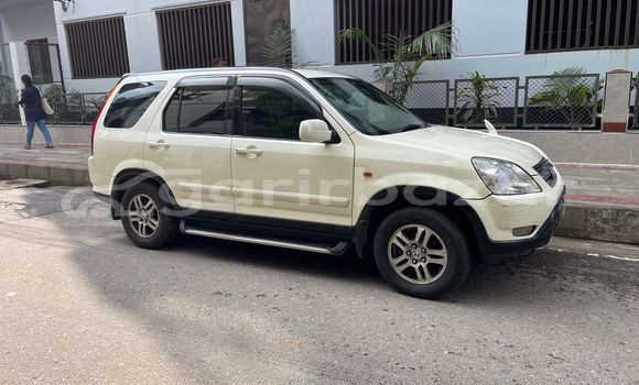 Buy Used Honda Car Buy Used Honda Car