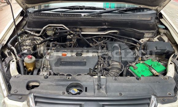 Buy Used Honda Car Buy Used Honda Car