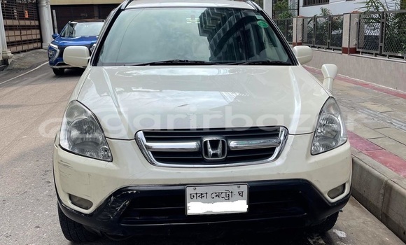 Buy Used Honda Car Buy Used Honda Car