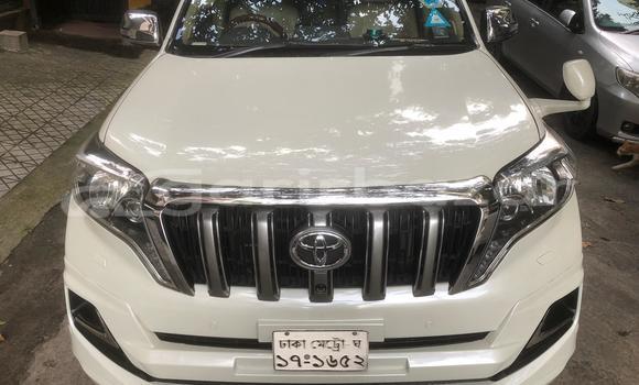 Buy Used Toyota Car