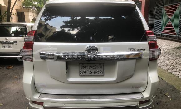 Buy Used Toyota Car Buy Used Toyota Car
