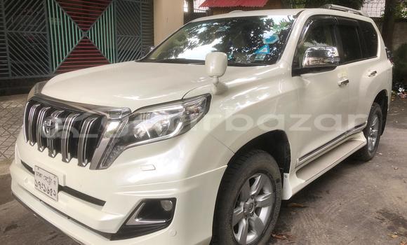 Buy Used Toyota Car Buy Used Toyota Car