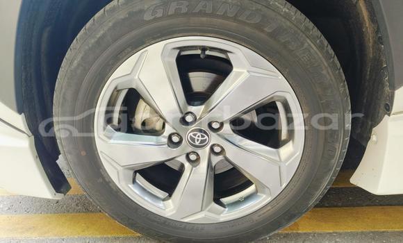 Buy Used 2019 Toyota RAV4 in Dhaka, Dhaka Buy Used 2019 Toyota RAV4 in Dhaka, Dhaka