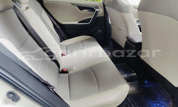 Buy Used 2019 Toyota RAV4 in Dhaka, Dhaka Buy Used 2019 Toyota RAV4 in Dhaka, Dhaka