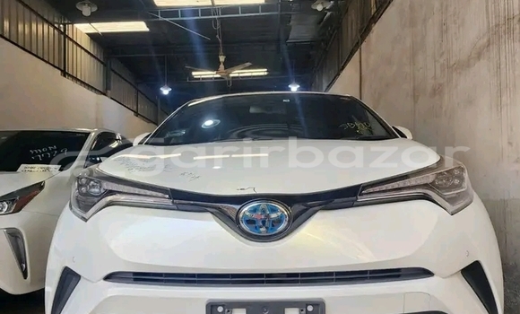 Buy Used Toyota CH-R in Bochanganj, Dinajpur Buy Used Toyota CH-R in Bochanganj, Dinajpur