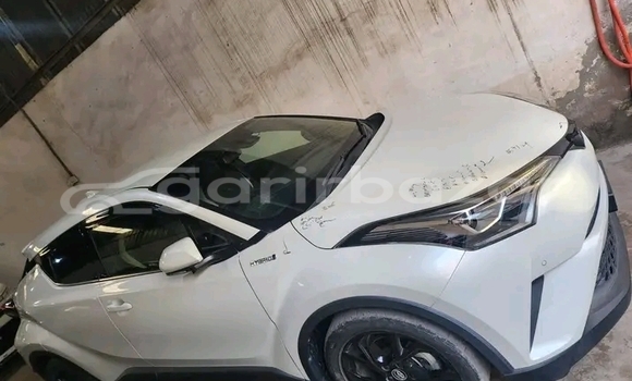 Buy Used Toyota CH-R in Bochanganj, Dinajpur Buy Used Toyota CH-R in Bochanganj, Dinajpur