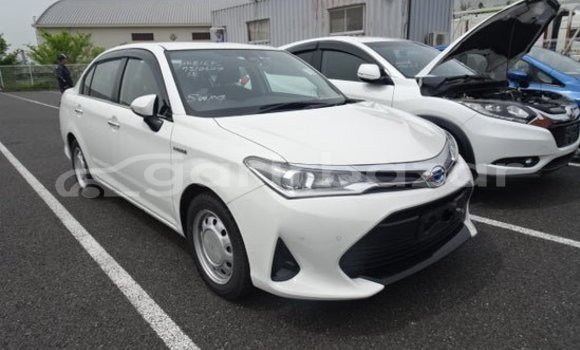 Buy Used 2021 Toyota Axio in Badarganj, Rangpur Buy Used 2021 Toyota Axio in Badarganj, Rangpur