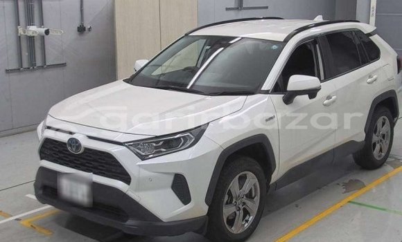 Buy Used 2021 Toyota RAV4 in Dhaka, Dhaka Buy Used 2021 Toyota RAV4 in Dhaka, Dhaka