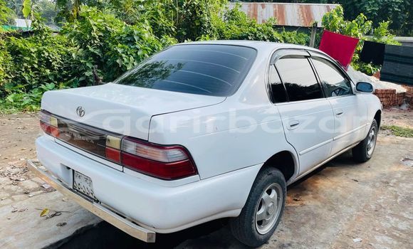 কেনা ব্যবহৃত Toyota corolla Brown গাড়ী মধ্যে ঢাকা মধ্যে Dhaka কেনা ব্যবহৃত Toyota corolla Brown গাড়ী মধ্যে ঢাকা মধ্যে Dhaka