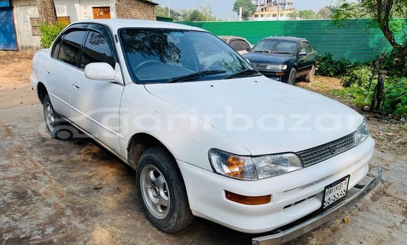 কেনা ব্যবহৃত Toyota corolla Brown গাড়ী মধ্যে ঢাকা মধ্যে Dhaka কেনা ব্যবহৃত Toyota corolla Brown গাড়ী মধ্যে ঢাকা মধ্যে Dhaka