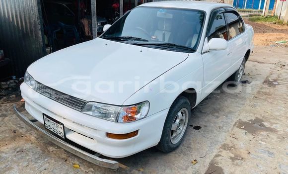 কেনা ব্যবহৃত Toyota corolla Brown গাড়ী মধ্যে ঢাকা মধ্যে Dhaka কেনা ব্যবহৃত Toyota corolla Brown গাড়ী মধ্যে ঢাকা মধ্যে Dhaka