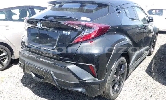 Buy Used 2019 Toyota CH-R in Baniachang, Habiganj Buy Used 2019 Toyota CH-R in Baniachang, Habiganj