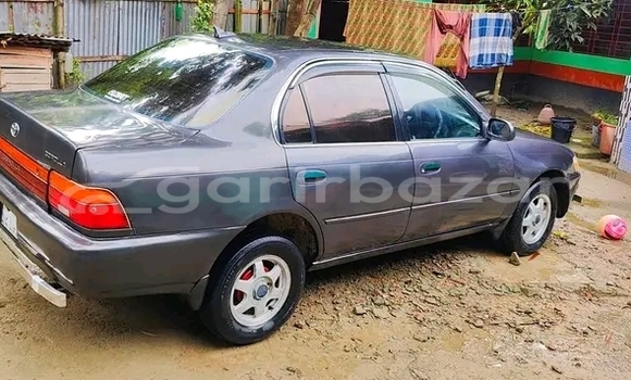 Buy Used Toyota Corolla in Baniachang, Habiganj Buy Used Toyota Corolla in Baniachang, Habiganj