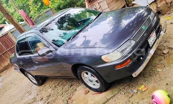 Buy Used Toyota Corolla in Baniachang, Habiganj Buy Used Toyota Corolla in Baniachang, Habiganj