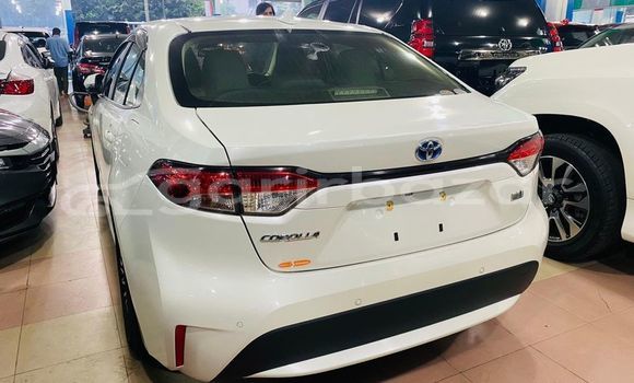 Buy Used 2020 Toyota corolla in Dhaka, Dhaka Buy Used 2020 Toyota corolla in Dhaka, Dhaka