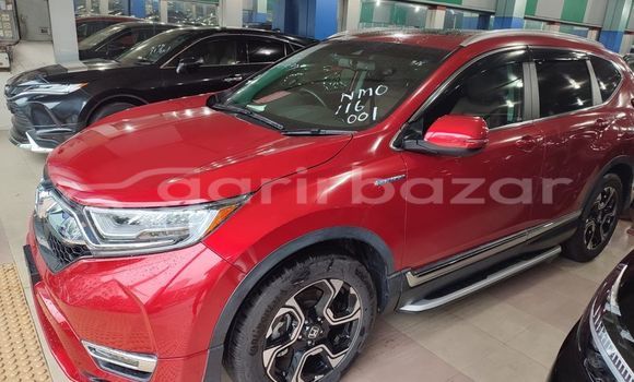 Buy Used 2019 Honda CR-V in Dhaka, Dhaka Buy Used 2019 Honda CR-V in Dhaka, Dhaka