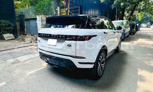 কেনা ব্যবহৃত Mercedes-Benz Range Rover White গাড়ী মধ্যে ঢাকা মধ্যে Dhaka কেনা ব্যবহৃত Mercedes-Benz Range Rover White গাড়ী মধ্যে ঢাকা মধ্যে Dhaka