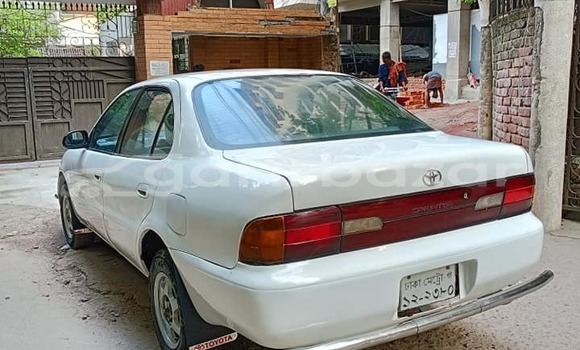 Buy Used 2001 Mercedes-Benz c-class in Dhaka, Dhaka Buy Used 2001 Mercedes-Benz c-class in Dhaka, Dhaka