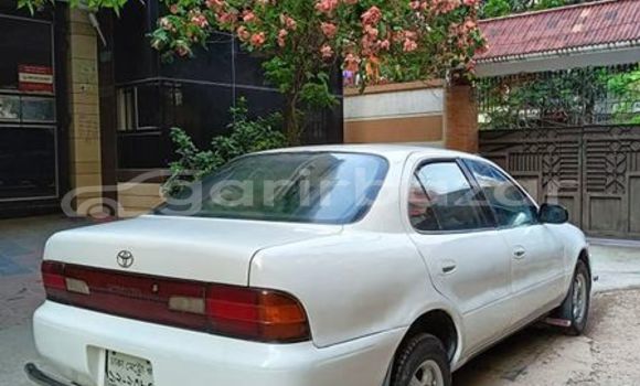 Buy Used 2001 Mercedes-Benz c-class in Dhaka, Dhaka Buy Used 2001 Mercedes-Benz c-class in Dhaka, Dhaka