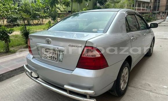 Buy Used 2005 Toyota X corolla in Dhaka, Dhaka Buy Used 2005 Toyota X corolla in Dhaka, Dhaka