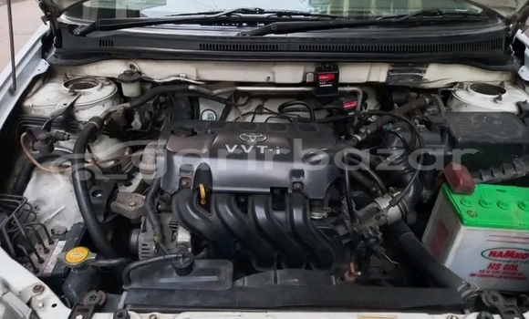 কেনা ব্যবহৃত Toyota Corolla White গাড়ী মধ্যে বদরগঞ্জ মধ্যে Rangpur কেনা ব্যবহৃত Toyota Corolla White গাড়ী মধ্যে বদরগঞ্জ মধ্যে Rangpur