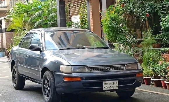 কেনা ব্যবহৃত Toyota Hiace super gl Others গাড়ী মধ্যে বানিয়াচং মধ্যে Habiganj কেনা ব্যবহৃত Toyota Hiace super gl Others গাড়ী মধ্যে বানিয়াচং মধ্যে Habiganj