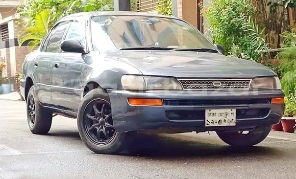 কেনা ব্যবহৃত Toyota Hiace super gl Others গাড়ী মধ্যে বানিয়াচং মধ্যে Habiganj কেনা ব্যবহৃত Toyota Hiace super gl Others গাড়ী মধ্যে বানিয়াচং মধ্যে Habiganj