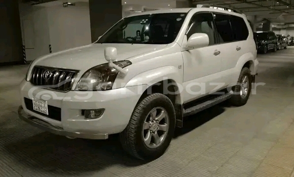 কেনা ব্যবহৃত Toyota RAV4 White গাড়ী মধ্যে বান্দরবান মধ্যে Bandarban কেনা ব্যবহৃত Toyota RAV4 White গাড়ী মধ্যে বান্দরবান মধ্যে Bandarban