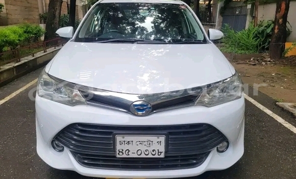 কেনা ব্যবহৃত Toyota Axio White গাড়ী মধ্যে অভয়নগর মধ্যে Jessor কেনা ব্যবহৃত Toyota Axio White গাড়ী মধ্যে অভয়নগর মধ্যে Jessor