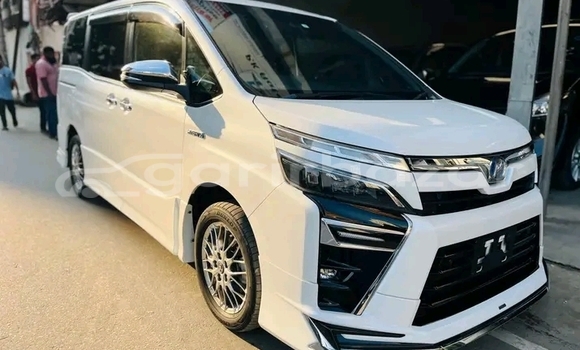 কেনা ব্যবহৃত Toyota Voxy White গাড়ী মধ্যে অভয়নগর মধ্যে Jessor কেনা ব্যবহৃত Toyota Voxy White গাড়ী মধ্যে অভয়নগর মধ্যে Jessor