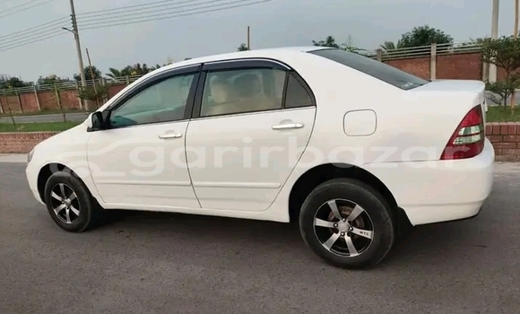 কেনা ব্যবহৃত Toyota Corolla White গাড়ী মধ্যে অভয়নগর মধ্যে Jessor কেনা ব্যবহৃত Toyota Corolla White গাড়ী মধ্যে অভয়নগর মধ্যে Jessor