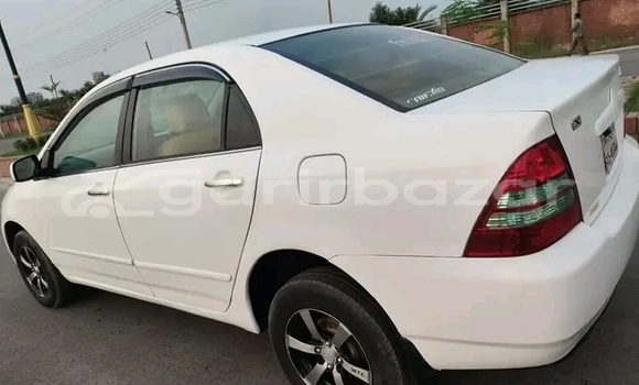 কেনা ব্যবহৃত Toyota Corolla White গাড়ী মধ্যে অভয়নগর মধ্যে Jessor কেনা ব্যবহৃত Toyota Corolla White গাড়ী মধ্যে অভয়নগর মধ্যে Jessor