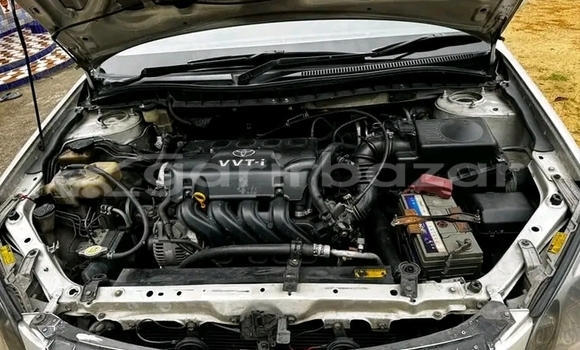 কেনা ব্যবহৃত Toyota Premio White গাড়ী মধ্যে বাগেরহাট মধ্যে Khulna কেনা ব্যবহৃত Toyota Premio White গাড়ী মধ্যে বাগেরহাট মধ্যে Khulna