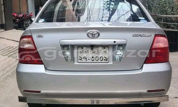 কেনা ব্যবহৃত Toyota Corolla Other গাড়ী মধ্যে আলমডাঙ্গা মধ্যে Chuadanga কেনা ব্যবহৃত Toyota Corolla Other গাড়ী মধ্যে আলমডাঙ্গা মধ্যে Chuadanga