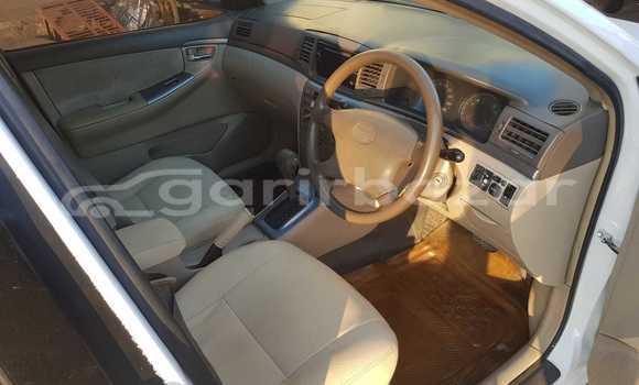 Buy Used 2019 Toyota Corolla in Dhaka, Dhaka Buy Used 2019 Toyota Corolla in Dhaka, Dhaka