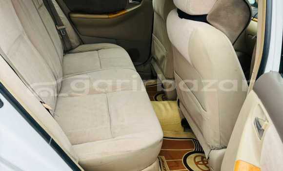 Buy Used 2009 Toyota corolla x fielder in Dhaka, Dhaka Buy Used 2009 Toyota corolla x fielder in Dhaka, Dhaka